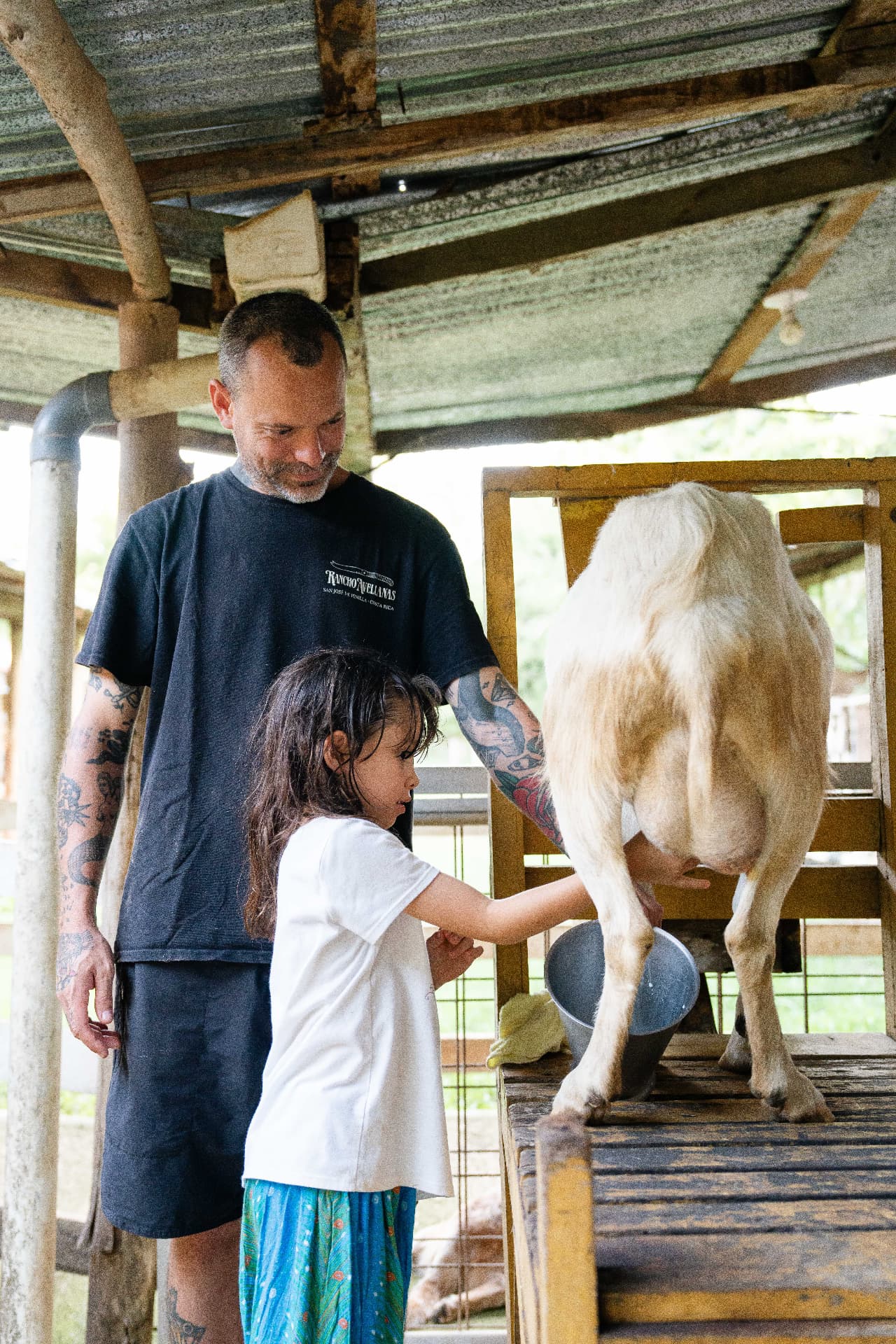 Niña aprendiendo a ordeñar una cabra junto a un instructor