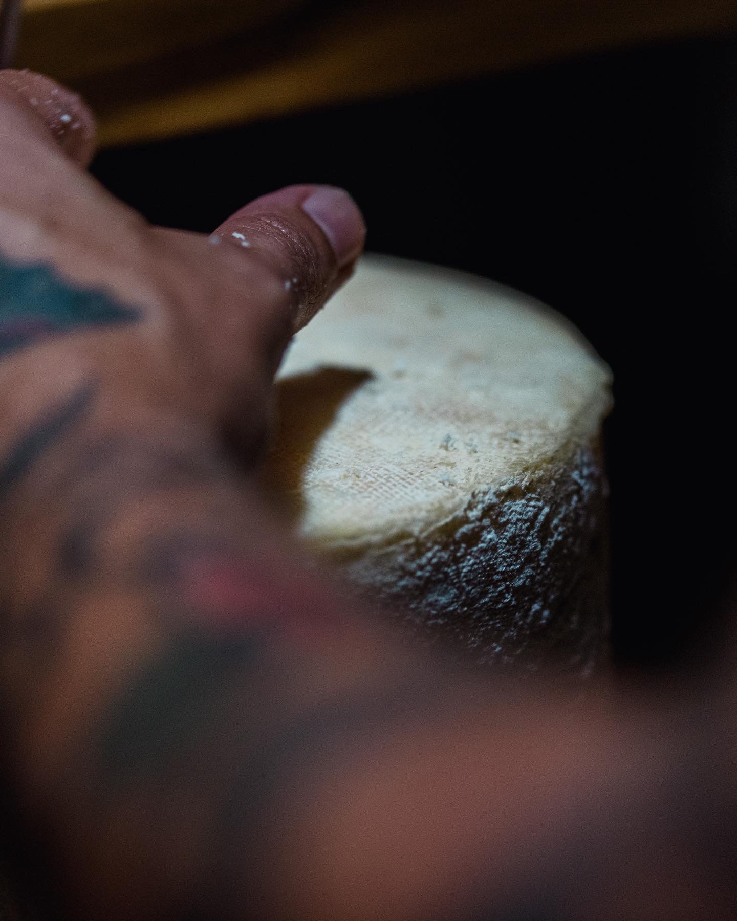 Rueda de queso de cabra en maduración sostenida por el elaborador